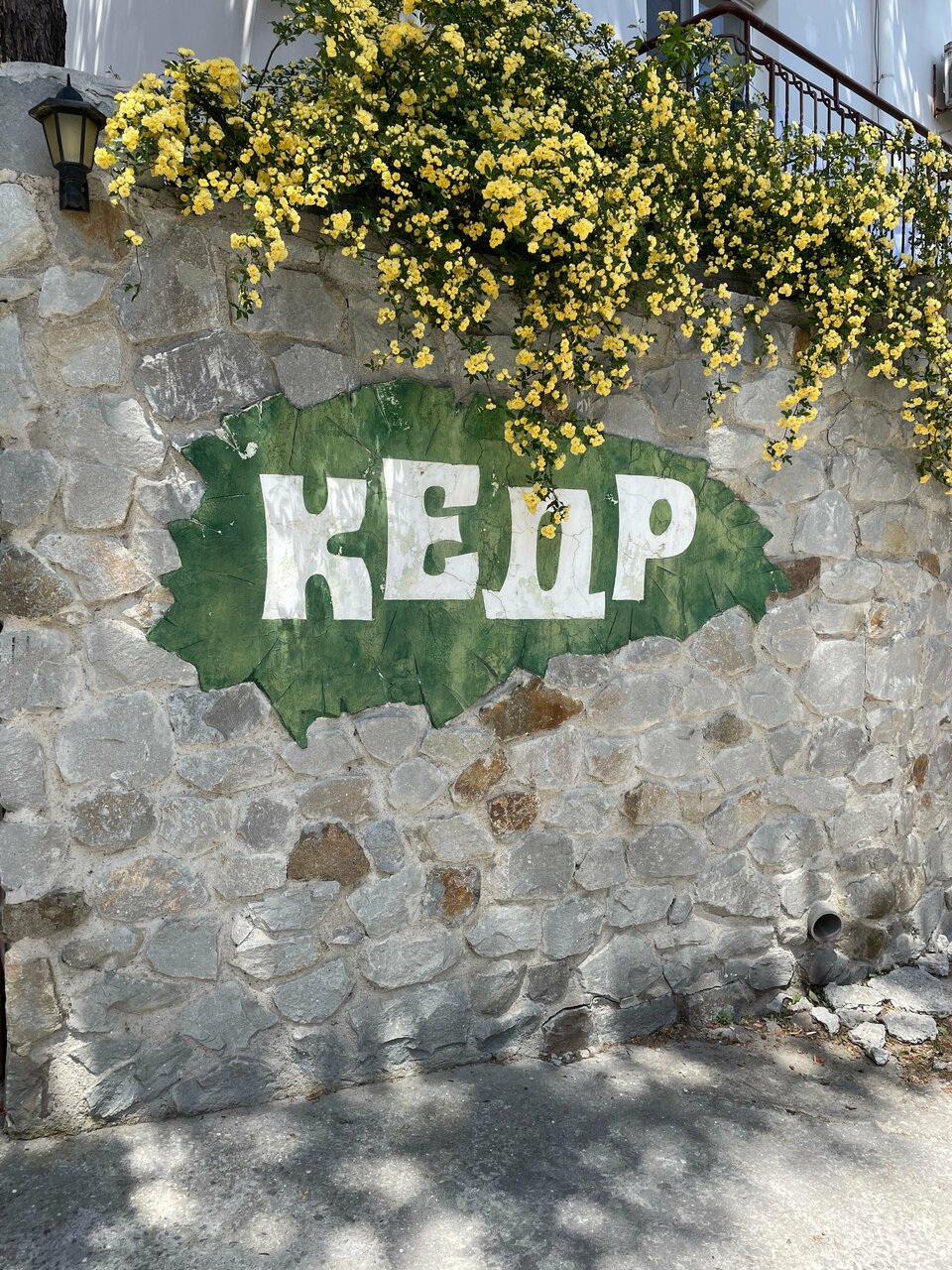 Гостиница Кедр-Запад Алупка