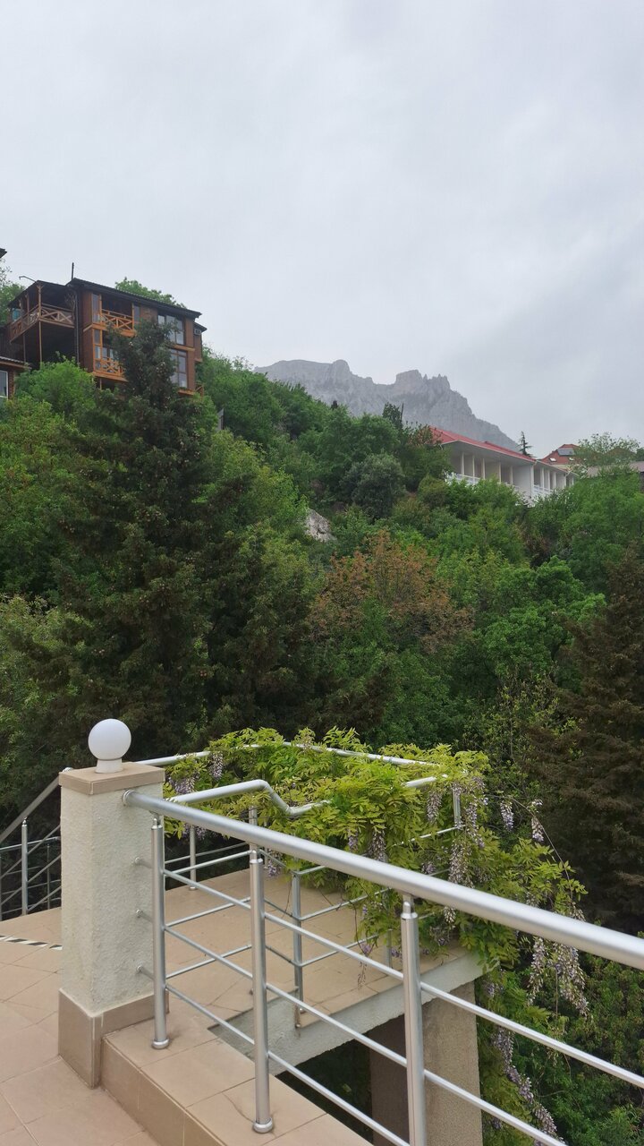 Гостиница Кедр-Запад Алупка-47