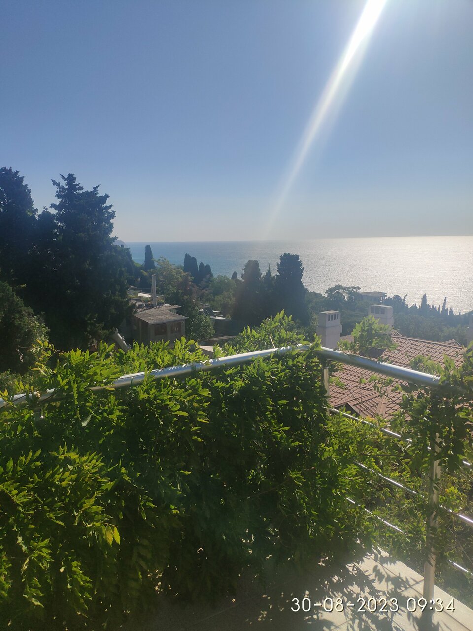 Гостиница Кедр-Запад Алупка-50