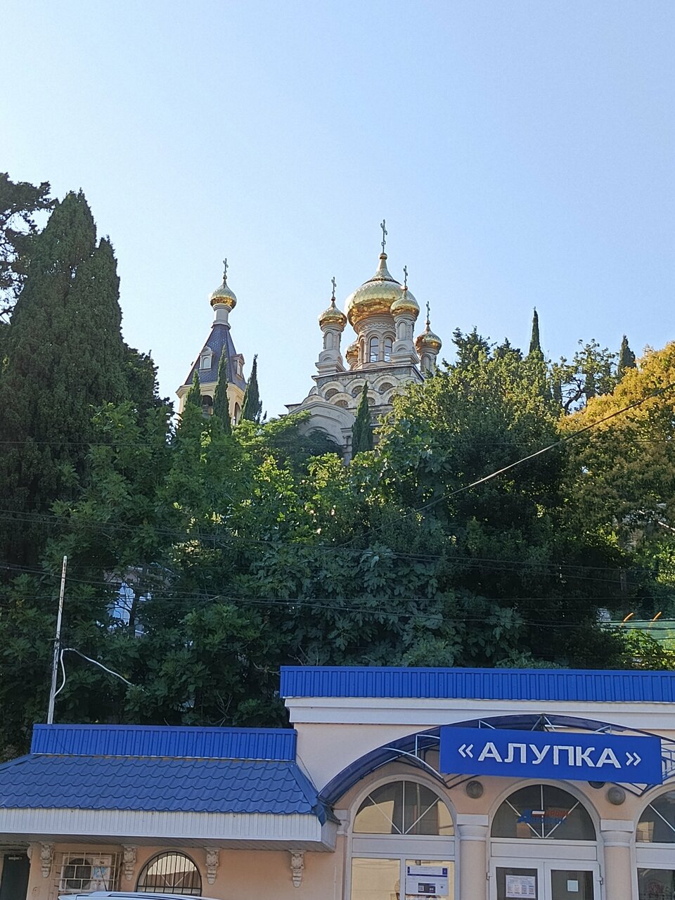 Гостиница Кедр-Запад Алупка-72