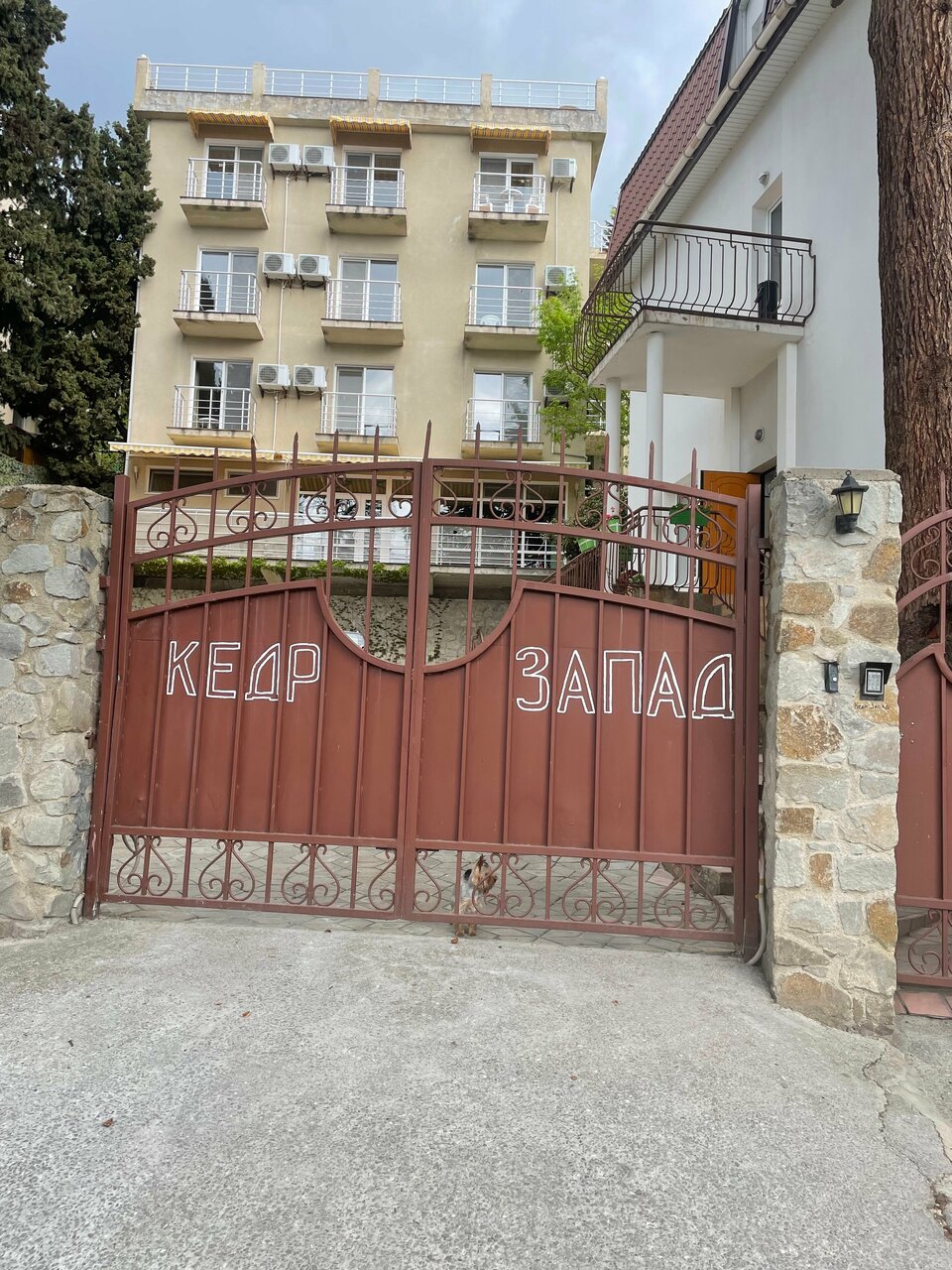 Гостиница Кедр-Запад Алупка