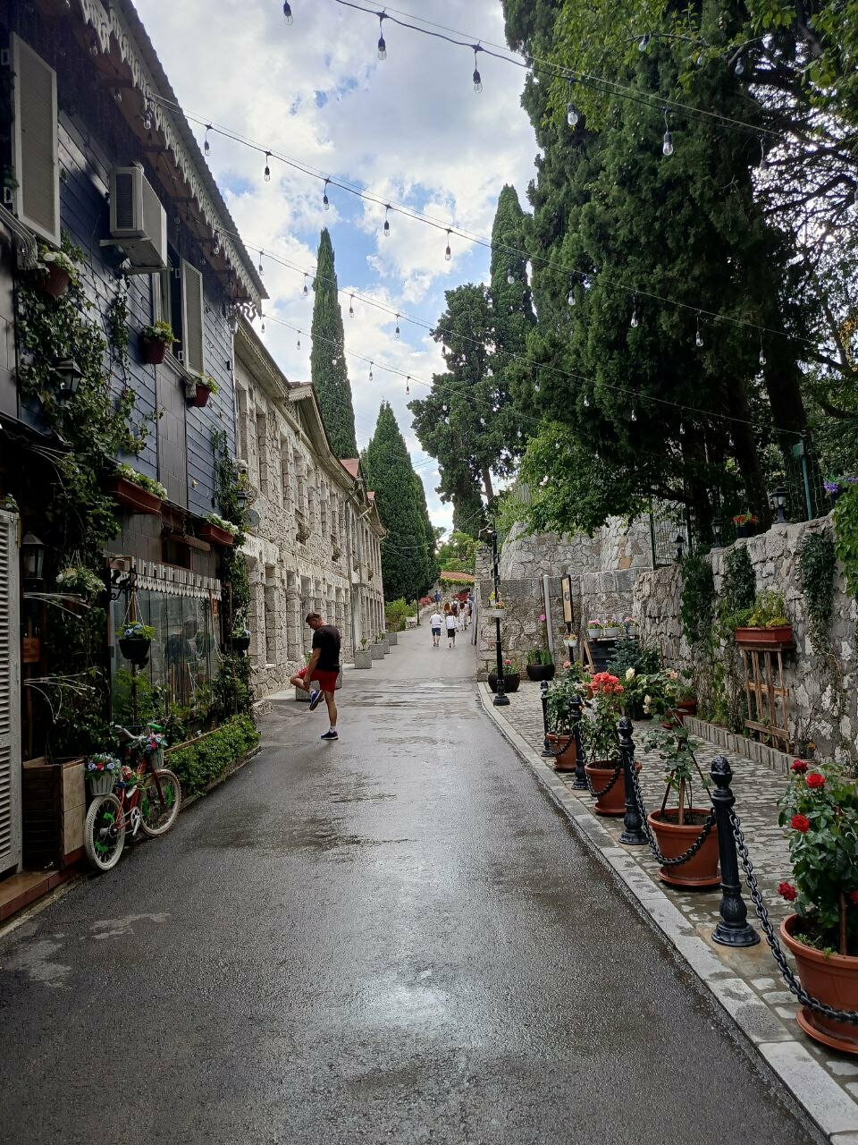 Гостиница Кедр-Запад Алупка-81