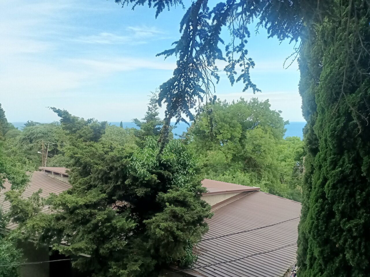 Гостиница Кедр-Запад Алупка-38