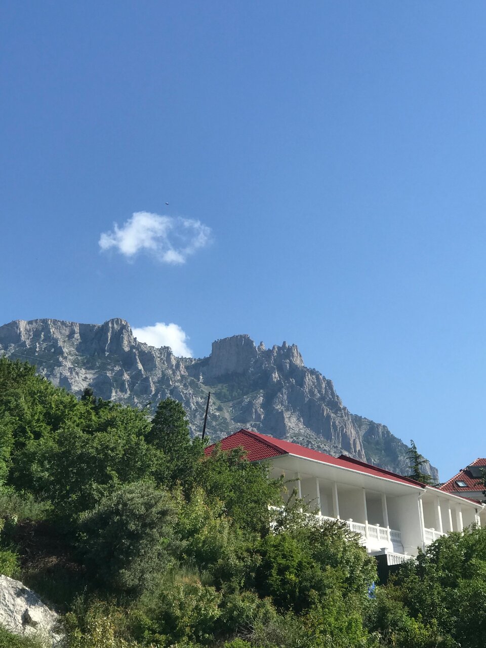 Гостиница Кедр-Запад Алупка-20