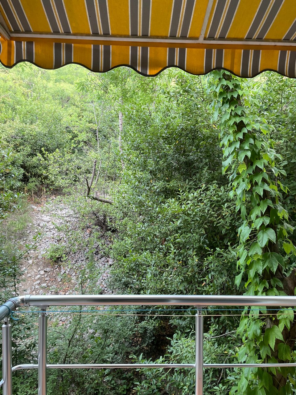 Гостиница Кедр-Запад Алупка