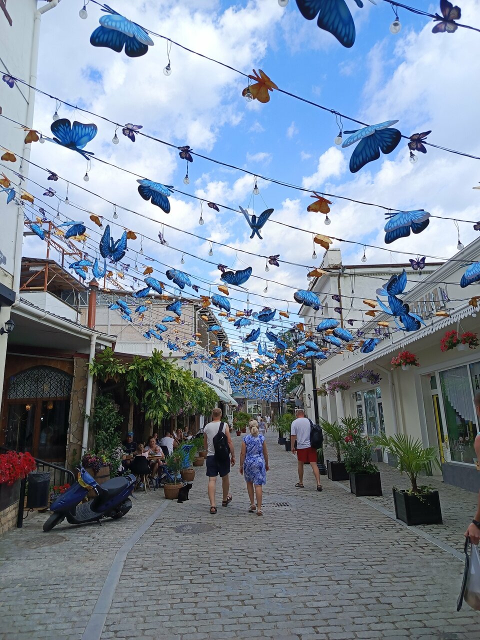 Гостиница Кедр-Запад Алупка-77