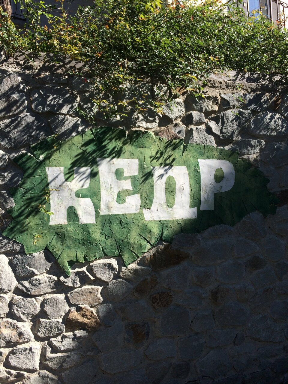 Гостиница Кедр-Запад Алупка