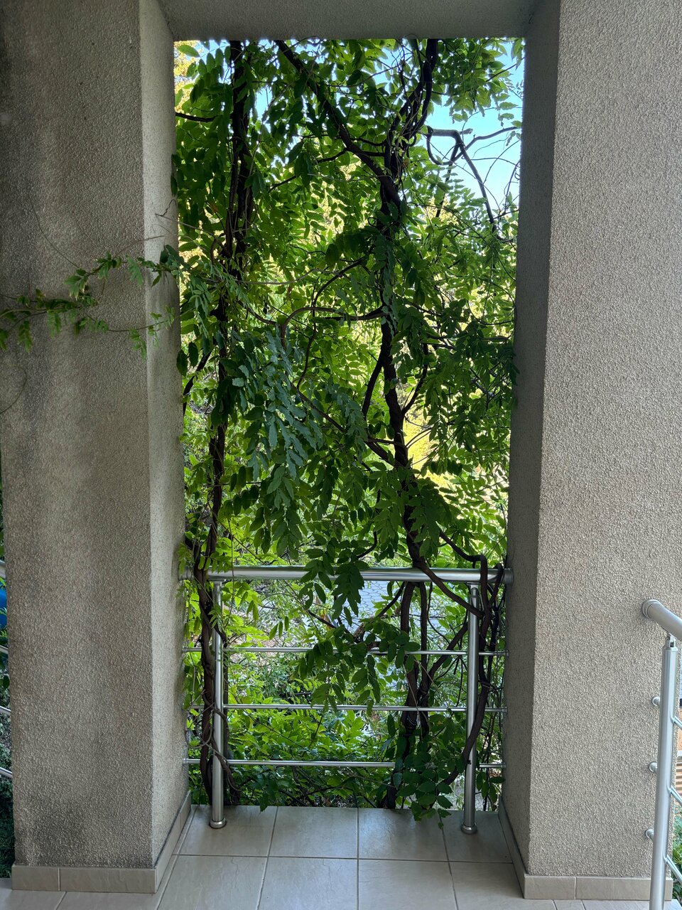 Гостиница Кедр-Запад Алупка-97