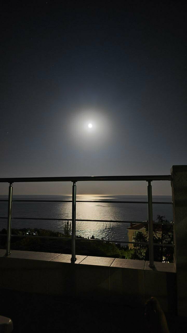 Гостиница Кедр-Запад Алупка-92