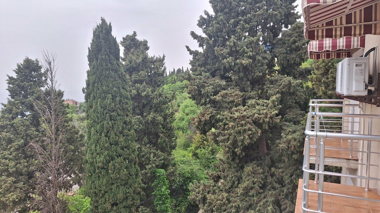 Гостиница Кедр-Запад Алупка-22