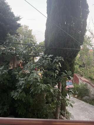 Гостиница Кедр-Запад Алупка Семейный полулюкс-7