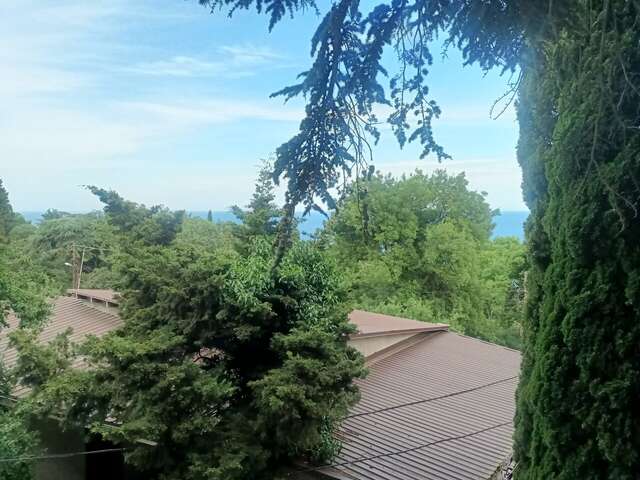 Гостиница Кедр-Запад Алупка-37