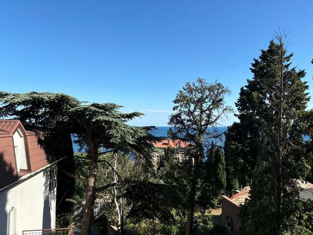 Гостиница Кедр-Запад Алупка-95