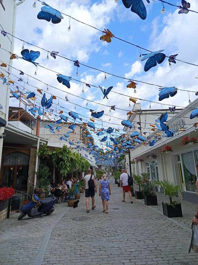 Гостиница Кедр-Запад Алупка-76