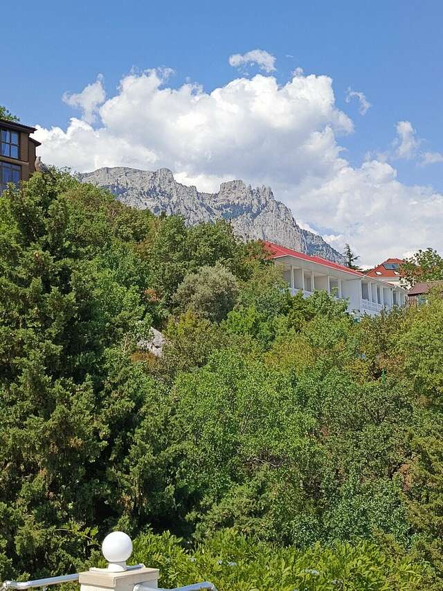 Гостиница Кедр-Запад Алупка-93